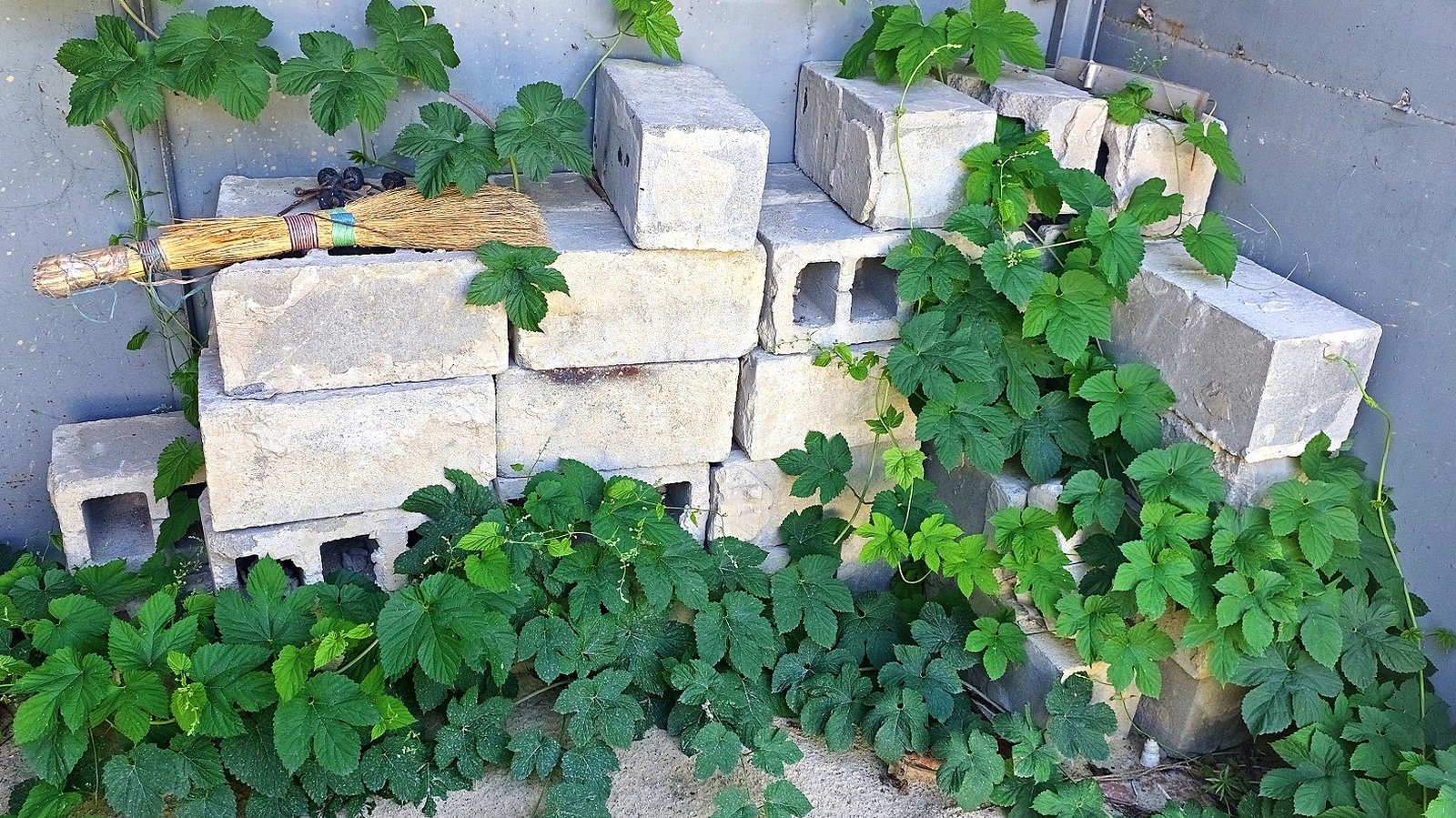 Güvertenizin Altındaki Çirkin Beton Blokları Gizleyin (Depolama Eklerken)