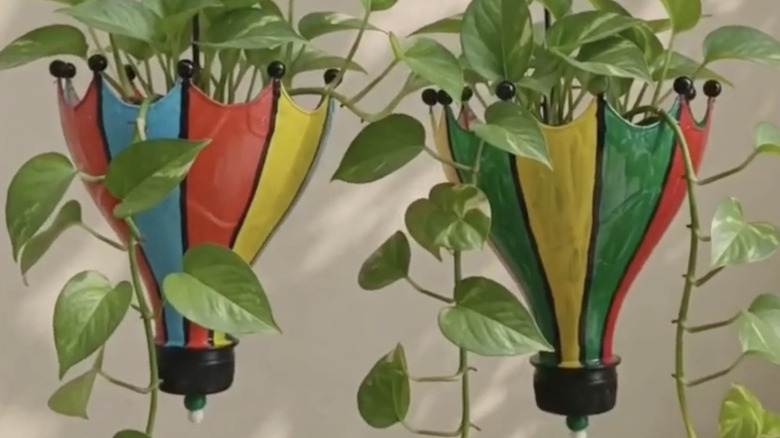 Pothos bitkileriyle dolu, şemsiyeye benzeyen iki adet asılı plastik şişe saksısı.