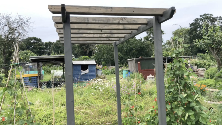 Büyük bir arka bahçede palet ağacından yapılmış bir pergola.