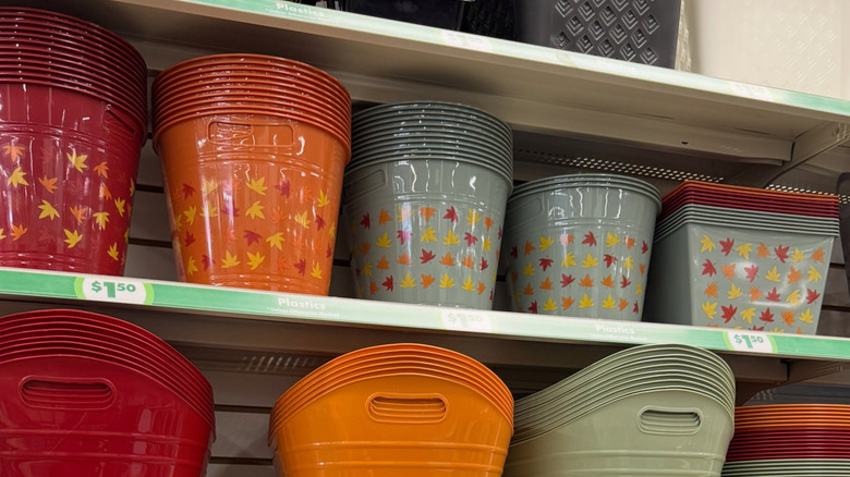 Dollar Tree'de sonbahar yaprağı baskılı plastik saklama kutularından oluşan bir raf
