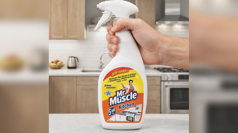 Mr Muscle 5'i 1 Arada Mutfak Temizleyici