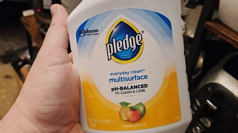 elinde bir şişe Pledge pH Dengeli Çok Yüzeyli Temizleyici Sprey tutan bir kişi