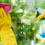 Windex'in Arkasındaki Şirketin Sahip Olduğu 10 Temizlik Ürünü