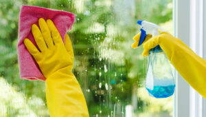 Windex’in Arkasındaki Şirketin Sahip Olduğu 10 Temizlik Ürünü