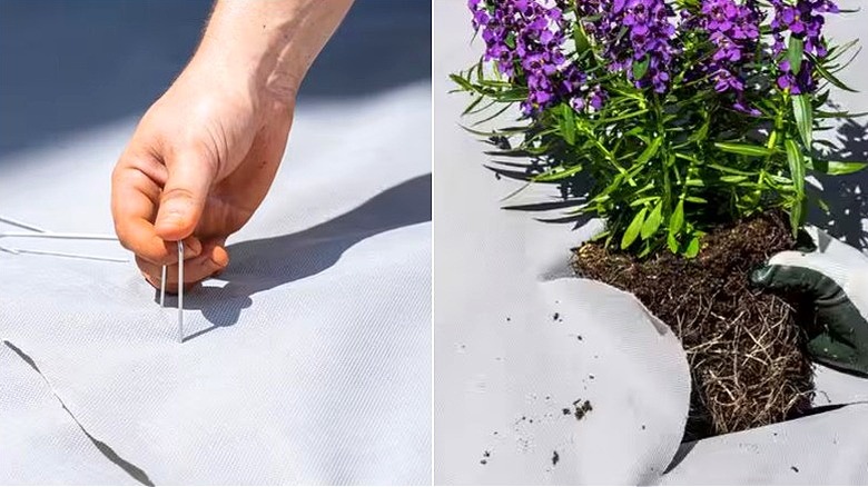 Vigoro peyzaj kumaşını kuran kişi