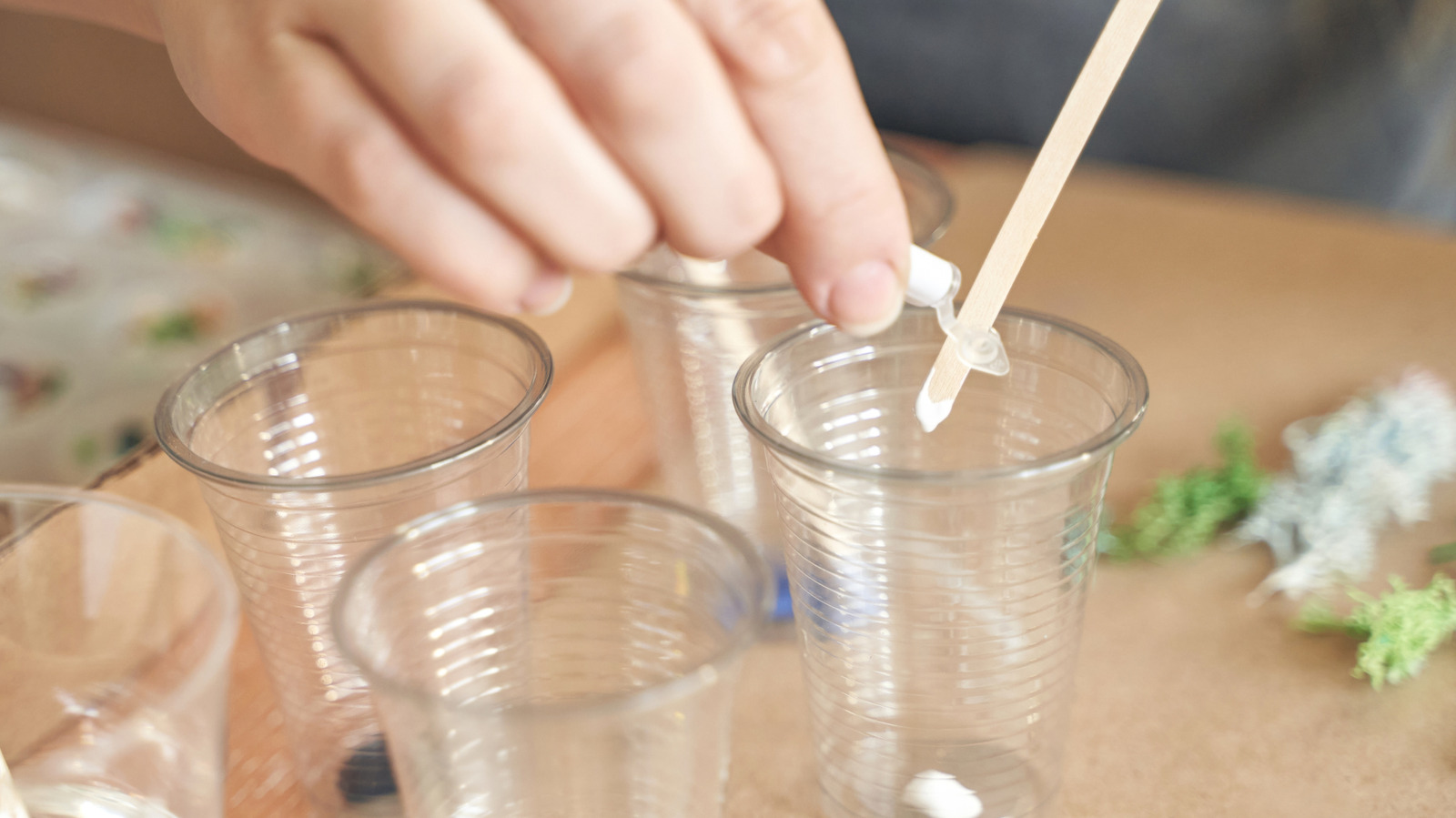 Eski Plastik Bardakları Kendin Yap En Şirin, Bitkilerden Esinlenen Güneş Yakalayıcıya Dönüştürün