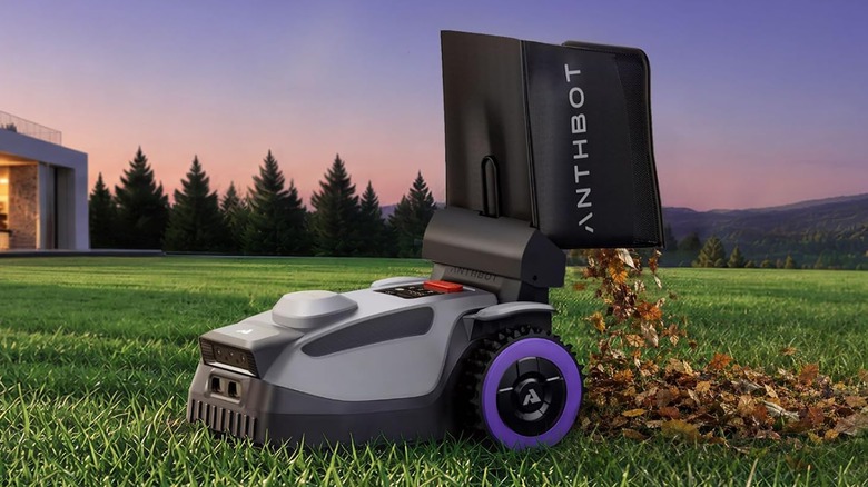 ANTHBOT N8, çantasıyla yakalanan yaprakları arkadan dışarı atarken çim biçiyor
