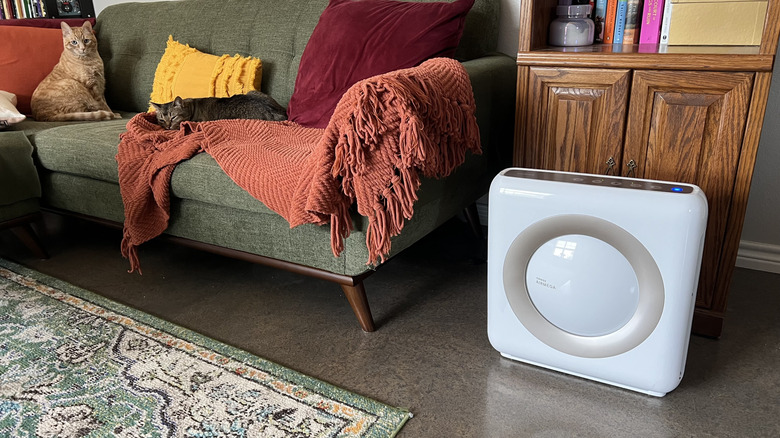 Coway Airmega Mighty AP-1512HH hava temizleyici, oturma odasında kanepe ve kitaplığın yanında.