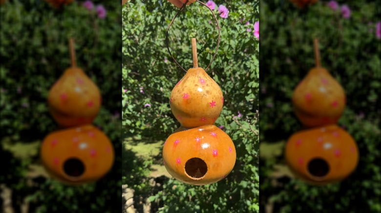 kabak kuş evi tasarımının son görünümü