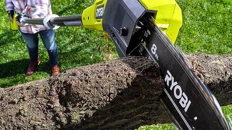 Ryobi 18V One+ 8 İnç Direk Testere, bir ağaçtan büyük bir dalı kesmek için kullanılıyor