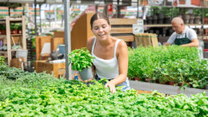 Home Depot Kalan Bitkilerle Ne Yapar?