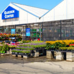 Lowe's Kalan Bitkilerle Ne Yapar?