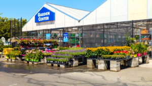 Lowe’s Kalan Bitkilerle Ne Yapar?