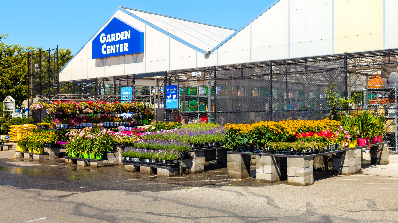 Lowe's Kalan Bitkilerle Ne Yapar?