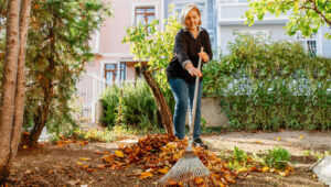 Yaprakları Düşürmeyi Durdurun: Lowe’s’tan Elde Taşınabilir Bularak Onları Kolaylıkla Toplayın