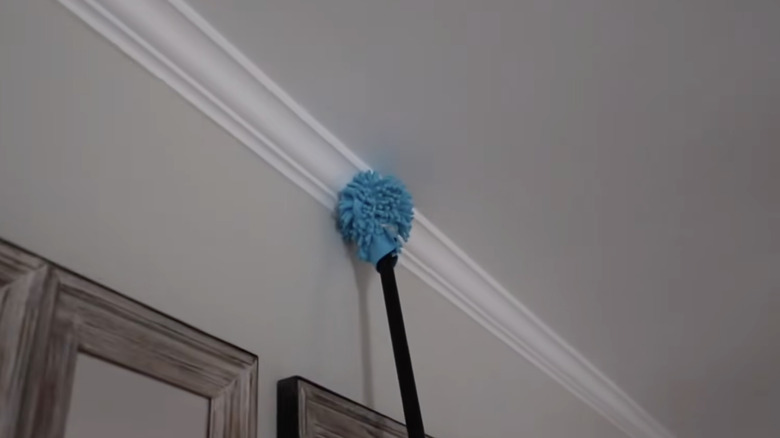 Direğin tozunu alan bir koyda DIY tenis topu silgisi.