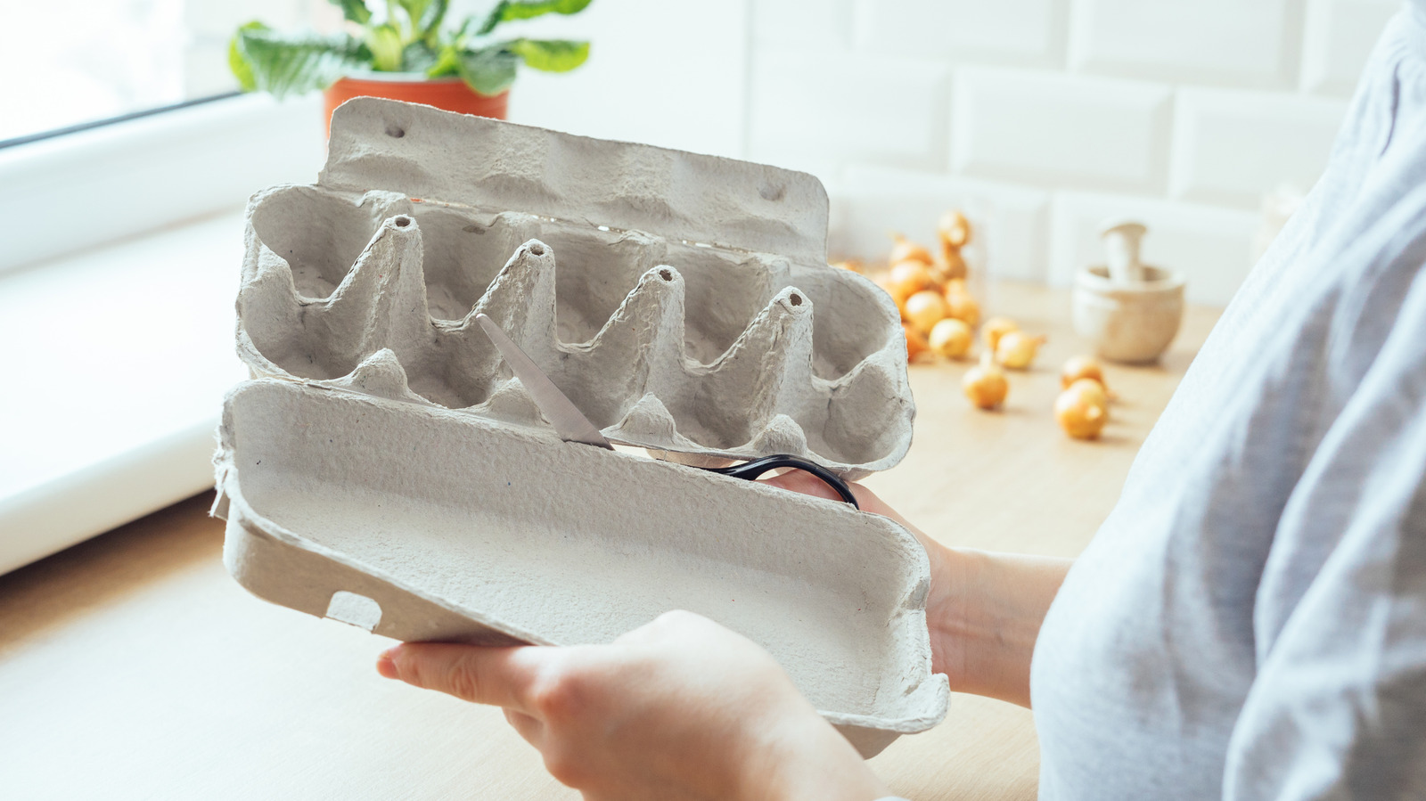 Bir Yumurta Kartonunu Güzel 3D Çiçekli Duvar Sanatına Dönüştürebilirsiniz