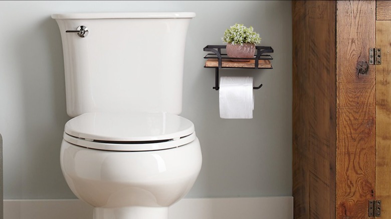 Bir banyo sahnesinde beyaz bir tuvalet, koyu kahverengi bir dolap ve içinde küçük bir saksı bitkisinin bulunduğu kahverengi raflı siyah metal bir tuvalet kağıdı rulosu tutucusu görülüyor.