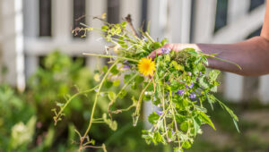 Elle Çekmekten Daha Kolay: Yabani Otları Temizlemek İçin Tirbuşon Benzeri Alet