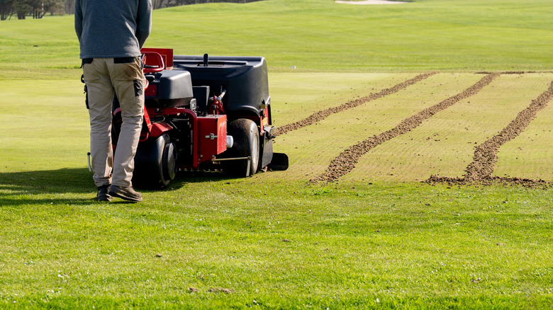 Saha görevlisi, profesyonel çim bakım makinesiyle golf sahasını havalandırıyor.