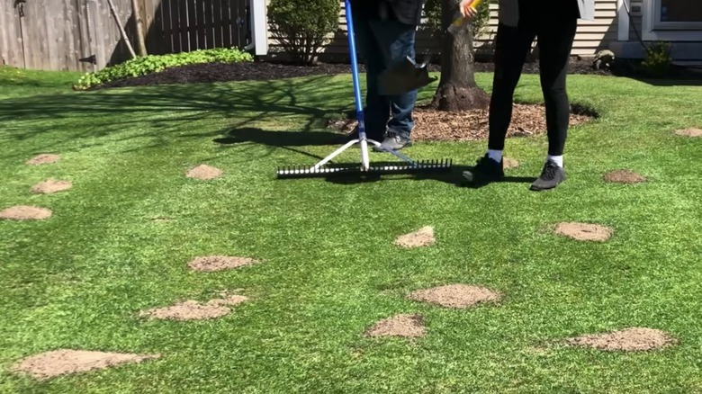 Düzensiz bir çimenlikte kum toplayan insanlar
