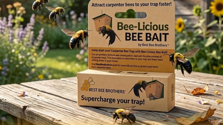 Ahşap bir masanın üzerinde duran bir kutu Best Bee Brothers Bee-Licious Bee Bait