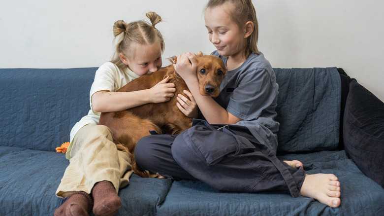 İki genç kız kanepede otururken köpeği okşuyor
